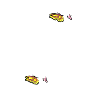 Monarch Butterfly Animals Monarch Butterfly Animals
