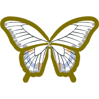 Monarch Butterfly Animals Monarch Butterfly Animals