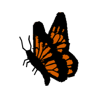 Monarch Butterfly Animals