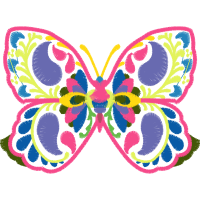 Moth Animals Moth Animals