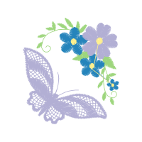 Moth Orchids Animals Moth Orchids Animals