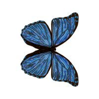 Needle Threader Animals