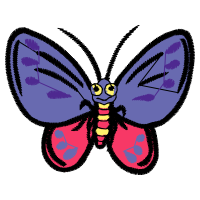 Net Winged Insects Animals