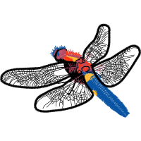 Net Winged Insects Animals Net Winged Insects Animals