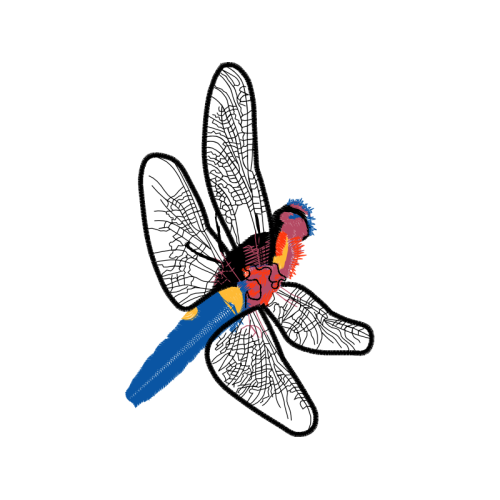 Net Winged Insects Animals Net Winged Insects Animals