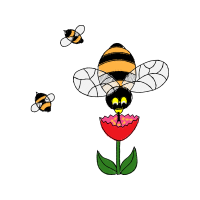 Net Winged Insects Animals