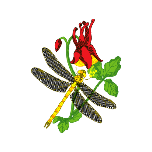 Net Winged Insects Animals Net Winged Insects Animals