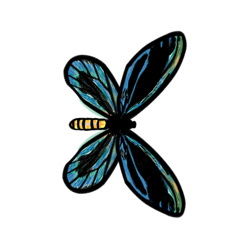 Net Winged Insects Animals Net Winged Insects Animals