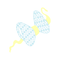 Net Winged Insects Animals