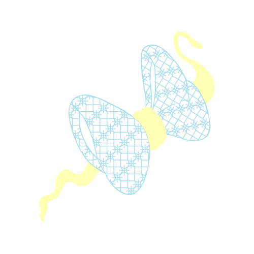 Net Winged Insects Animals Net Winged Insects Animals