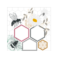 Net Winged Insects Animals Net Winged Insects Animals