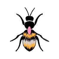 Net Winged Insects Animals