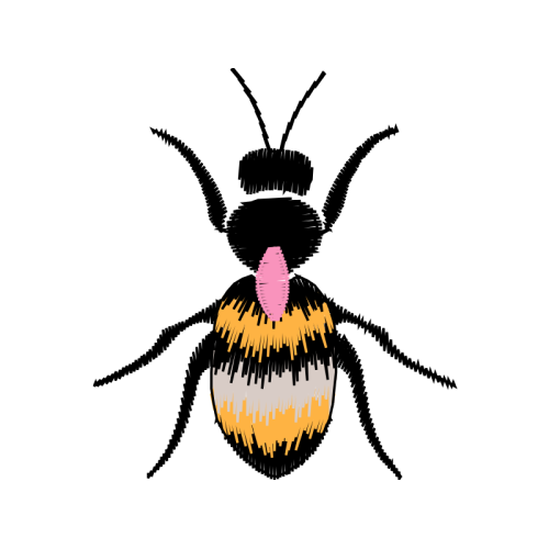 Net Winged Insects Animals Net Winged Insects Animals