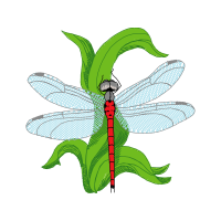 Net Winged Insects Animals Net Winged Insects Animals