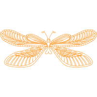 Net Winged Insects Animals Net Winged Insects Animals