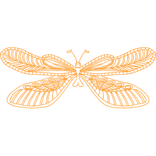 Net Winged Insects Animals Net Winged Insects Animals