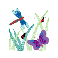 Net Winged Insects Animals Net Winged Insects Animals