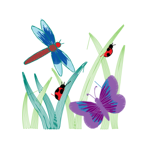 Net Winged Insects Animals Net Winged Insects Animals