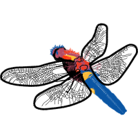 Net Winged Insects Animals Net Winged Insects Animals