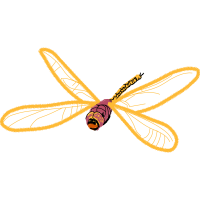 Net Winged Insects Animals Net Winged Insects Animals