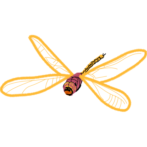 Net Winged Insects Animals Net Winged Insects Animals