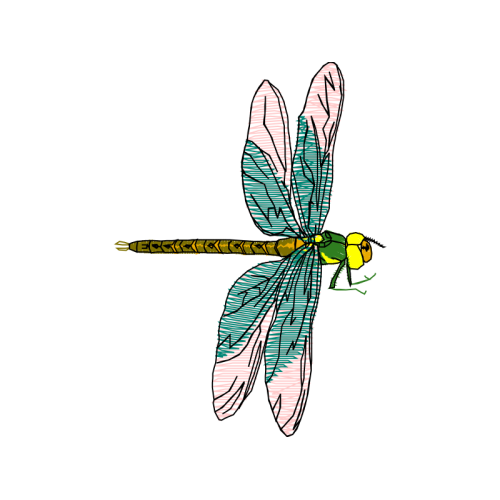 Net Winged Insects Animals Net Winged Insects Animals