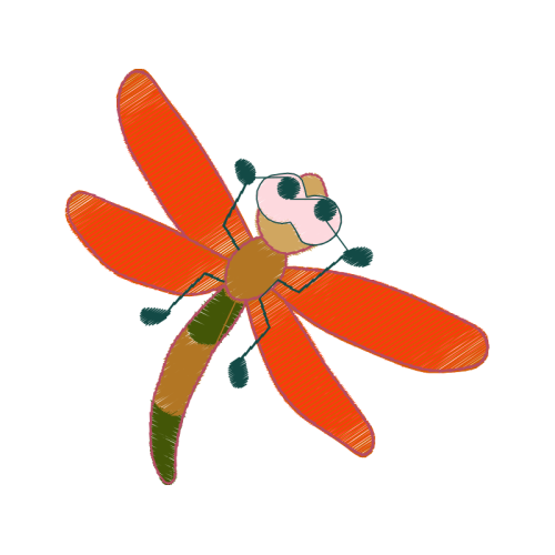 Net Winged Insects Animals Net Winged Insects Animals