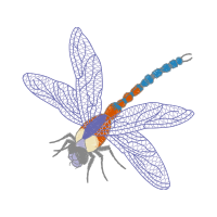 Net Winged Insects Animals Net Winged Insects Animals