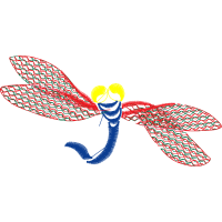 Net Winged Insects Animals Net Winged Insects Animals