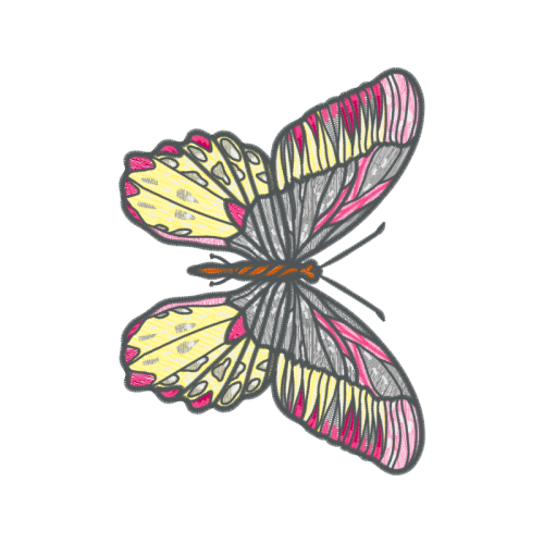 Net Winged Insects Animals Net Winged Insects Animals