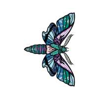 Net Winged Insects Animals