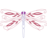 Net Winged Insects Animals