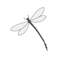 Net Winged Insects Animals Net Winged Insects Animals