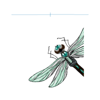 Net Winged Insects Animals Net Winged Insects Animals