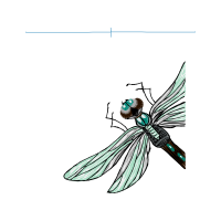 Net Winged Insects Animals Net Winged Insects Animals