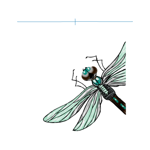 Net Winged Insects Animals Net Winged Insects Animals