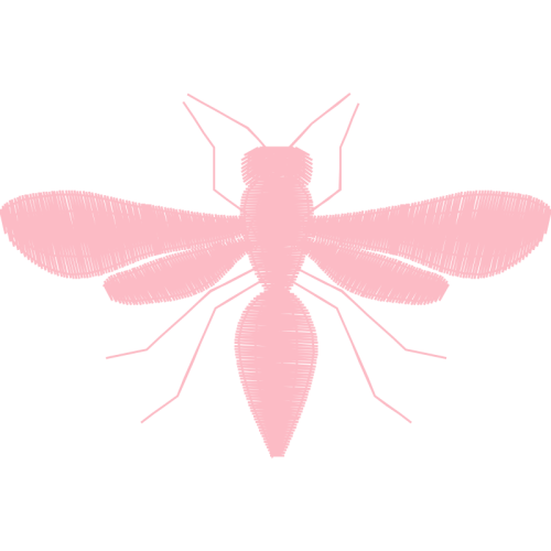 Net Winged Insects Animals Net Winged Insects Animals