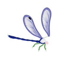 Net Winged Insects Animals Net Winged Insects Animals