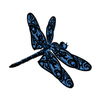 Net Winged Insects Animals Net Winged Insects Animals