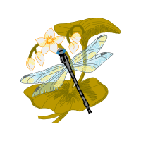 Net Winged Insects Animals Net Winged Insects Animals