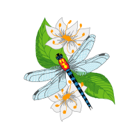 Net Winged Insects Animals Net Winged Insects Animals