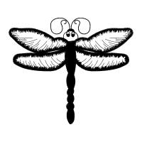 Net Winged Insects Animals Net Winged Insects Animals