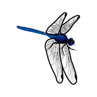 Net Winged Insects Animals Net Winged Insects Animals