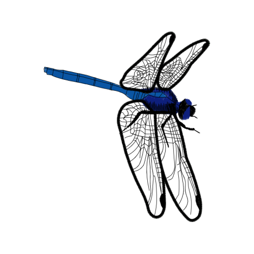 Net Winged Insects Animals Net Winged Insects Animals