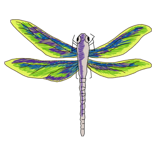 Net Winged Insects Animals Net Winged Insects Animals