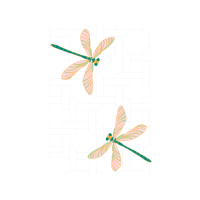 Net Winged Insects Animals