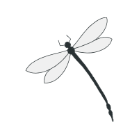 Net Winged Insects Animals Net Winged Insects Animals