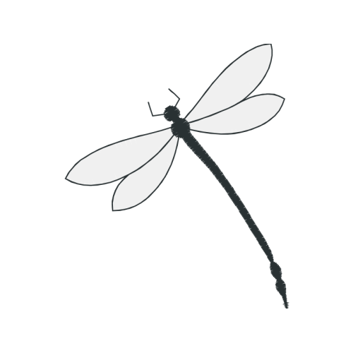 Net Winged Insects Animals Net Winged Insects Animals