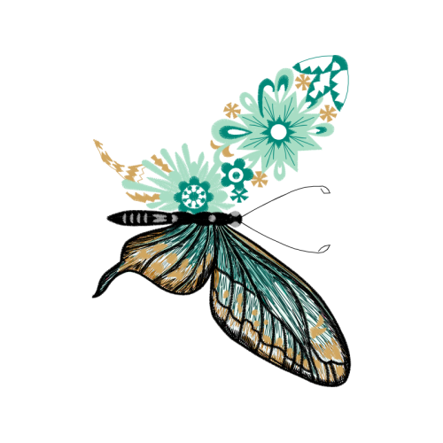 Net Winged Insects Animals Net Winged Insects Animals