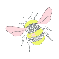 Net Winged Insects Animals